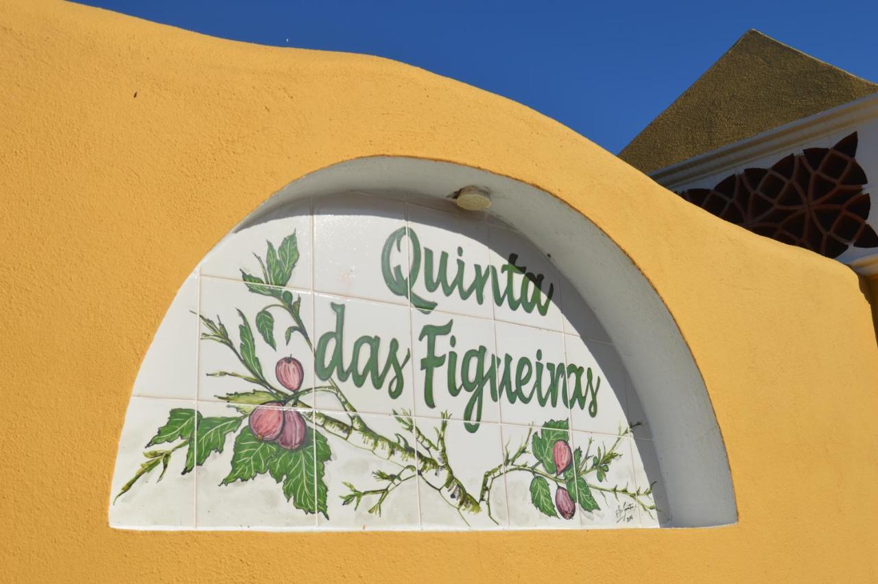 Quinta Das Figueiras ヴィーラ・ノーヴァ・デ・カセラ エクステリア 写真